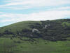 _A004114.jpg